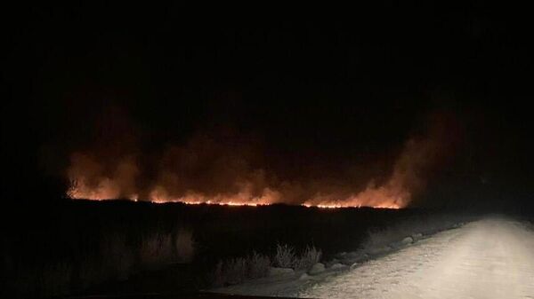Gala Gölü Milli Parkı'nda çıkan sazlık yangını söndürüldü. - Sputnik Türkiye