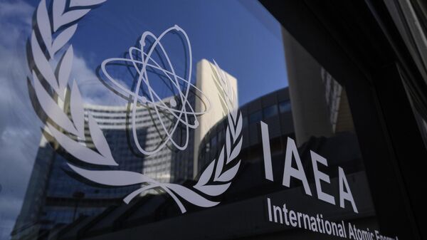 Uluslararası Atom Enerjisi Ajansı (UAEA) - Sputnik Türkiye