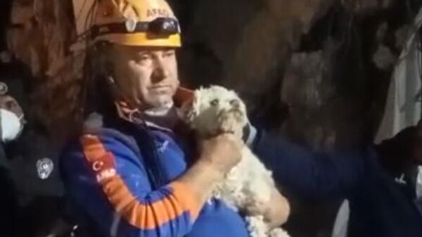 Türkiye ve Suriye'yi sarsan ve merkezi Kahramanmaraş olan 6 Şubat'taki depremlerin 25. gününde bir köpek enkaz altından sağ çıkarıldı.  - Sputnik Türkiye