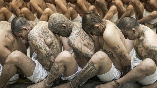 El Salvador uyuşturucu çete üyeleri hapishane mahkum - Sputnik Türkiye