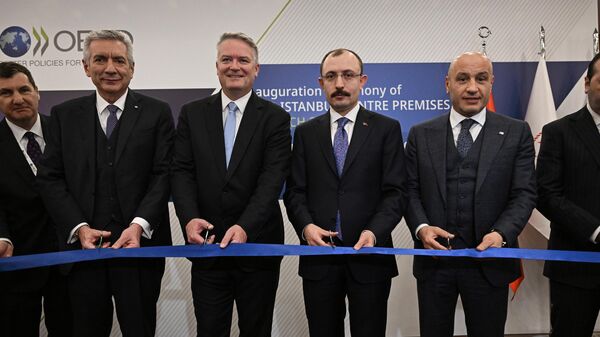 OECD İstanbul Merkezi, Mehmet Muş  - Sputnik Türkiye