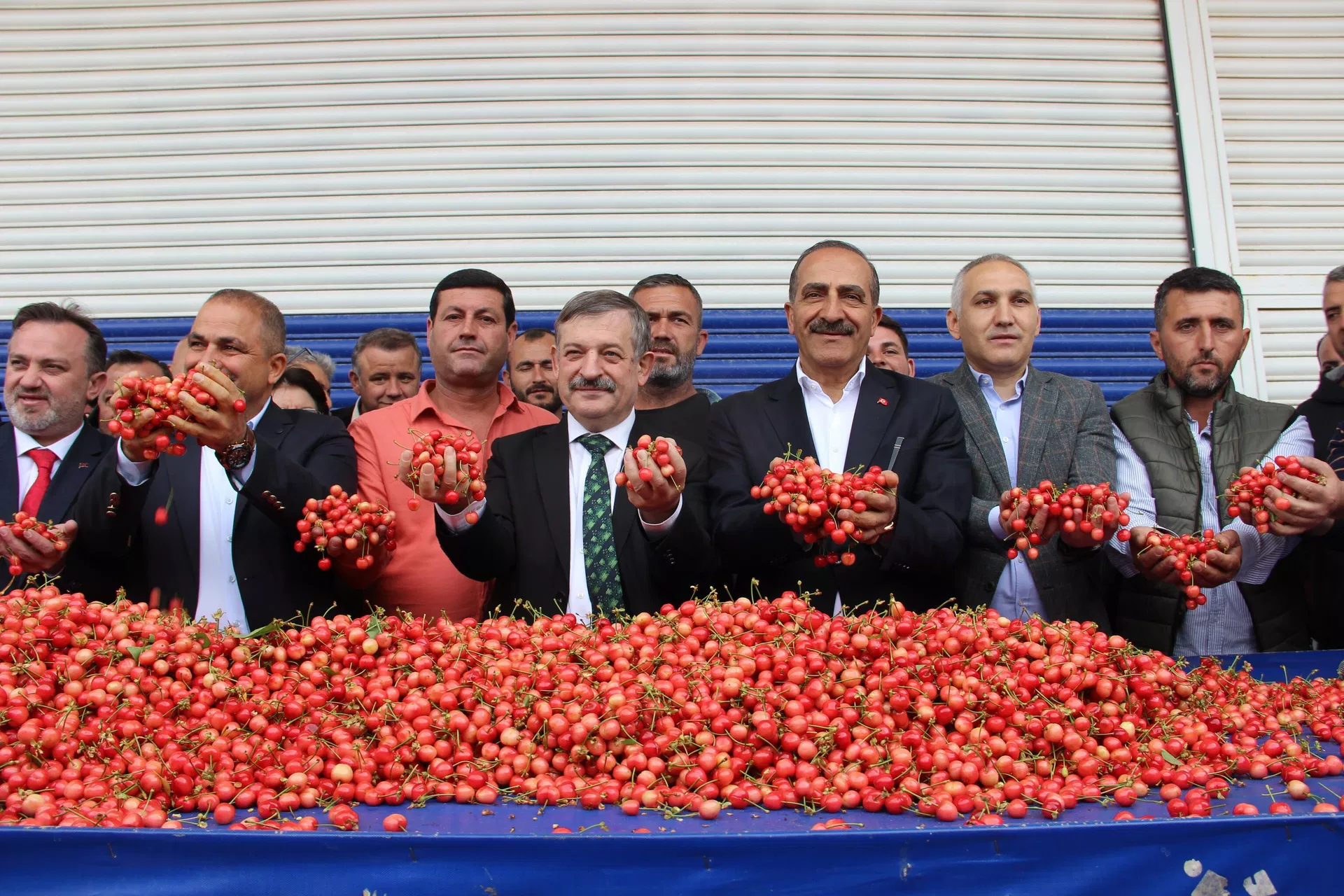 Gerçekleştirilen ilk kiraz hasadı ve açık artırmaya Manisa İl Tarım ve Orman İl Müdürü Metin Öztürk, Şehzadeler Kaymakamı Cemal Hüsnü Çaykara, Şehzadeler Belediye Başkan Vekili Bilal Demir, Ege Yaş Meyve Sebze İhracatçıları Birliği Yönetim Kurulu Başkanı Hayrettin Uçak, MHP Manisa Milletvekili Adayı İhracatçı Ali Uçak, üreticiler ve tüccarlar katıldı. - Sputnik Türkiye, 1920, 19.04.2023