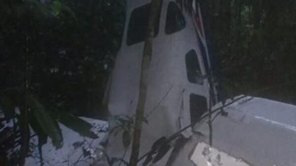 Uçak kazasından 2 hafta sonra canlı bulundu - Sputnik Türkiye