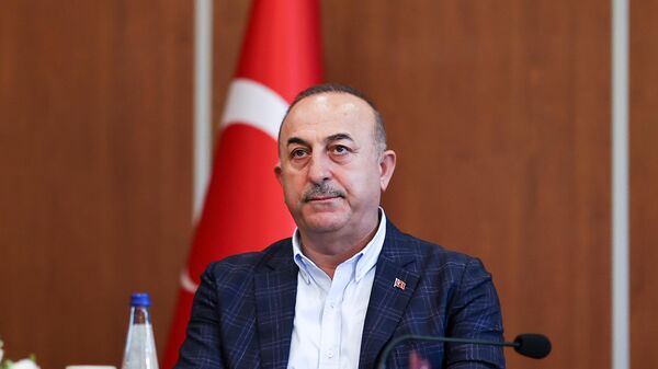 Dışişleri Bakanı Mevlüt Çavuşoğlu  - Sputnik Türkiye