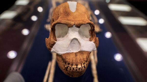 Güney Afrika'nın Johannesburg kentindeki 'Rising Star' (Yükselen Yıldız) mağarasında daha önce karmaşık bilişsel davranışlarda bulunmadığı düşünülen Homo naledilere ait bir mezar alanı bulundu. Mezarlığın evrim teorisine bakış açısını değiştirebileceği düşünülüyor.  - Sputnik Türkiye