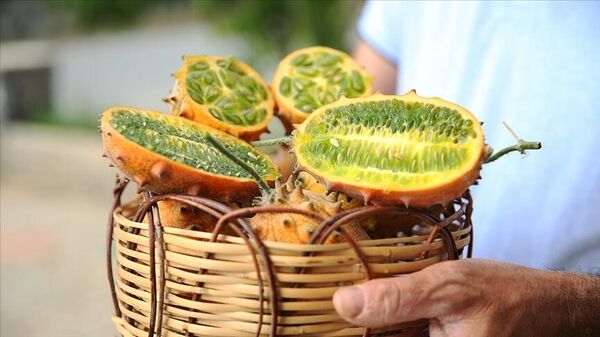 Boynuzlu kavun olarak bilinen tropikal meyve kiwano - Sputnik Türkiye