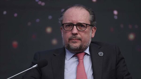 Avusturya Dışişleri Bakanı Alexander Schallenberg  - Sputnik Türkiye
