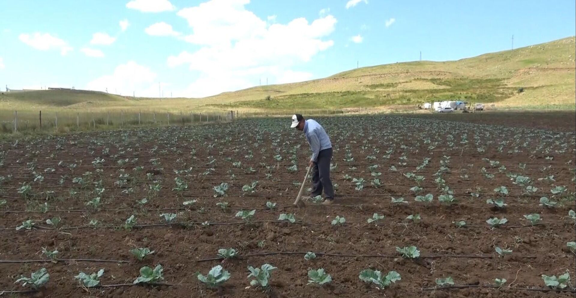 Muş'ta 1993'te terk edilen Şenyayla bölgesine 30 yıl sonra dönen köylüler tarlalarını ekti. - Sputnik Türkiye, 1920, 05.07.2023