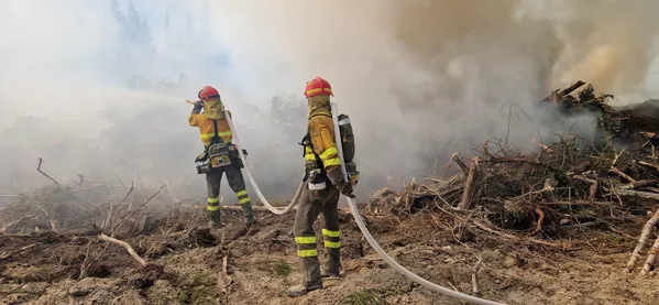Kanada İtfaiye Şefleri Birliği (CAFC) Başkanı Ken McMullen verdiği röportajda, “Kanada'daki yangınlar, gerçekten eşi benzeri görülmemiş yangınlar. Ülkenin her yerinde yangın var ve çok erken başladılar” ifadelerini kullandı.Söndürme çalışmaları, yurt dışından 2 bin 231 yabancı itfaiyecinin desteğiyle devam ediyor. - Sputnik Türkiye