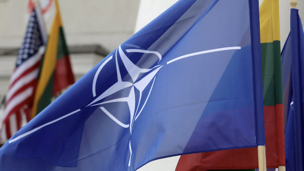 NATO Liderler Zirvesi başladı - Sputnik Türkiye