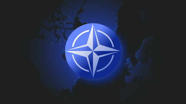 NATO’nun genişlemesi infografik  - Sputnik Türkiye