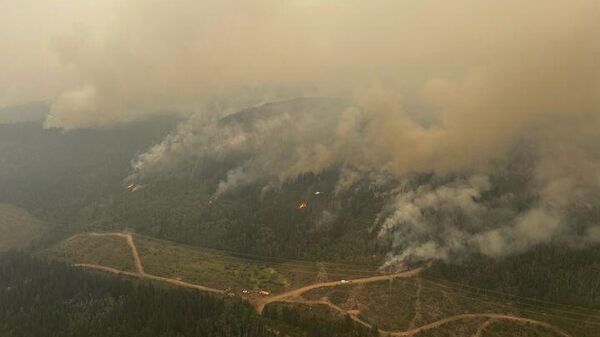 Kanada’da 883 alanda devam eden orman yangınları nedeniyle 10 milyon hektar alan küle döndü. - Sputnik Türkiye