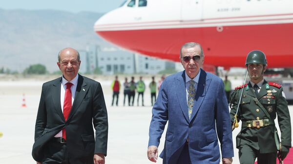 Erdoğan ve Tatar - Sputnik Türkiye