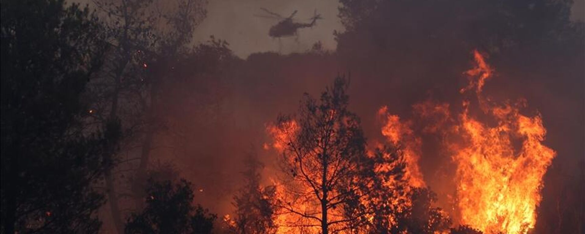 Rodos Adası'nda bir hafta önce başlayan orman yangını kontrolsüz şekilde yayılmaya devam ederken, Yunanistan'ın Korfu Adası'nda da orman yangını çıktığı bildirildi. - Sputnik Türkiye, 1920, 26.07.2023