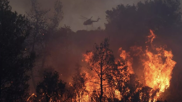 Rodos'tan sonra Yunanistan'ın Korfu Adası'nda da orman yangını: 2 bin 466 kişi tahliye edildi - Sputnik Türkiye