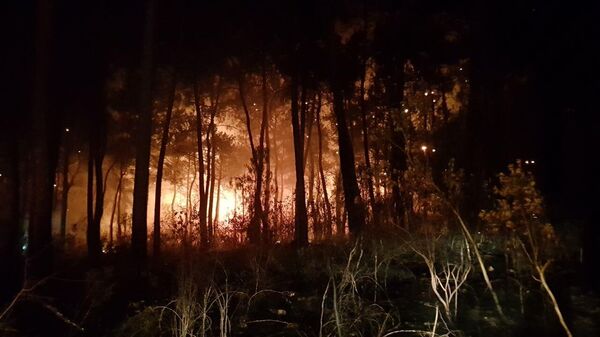Antalya'nın Kemer ilçesinde orman yangını çıktı - Sputnik Türkiye
