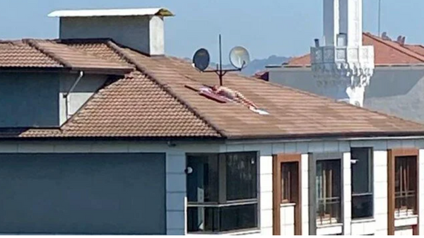 Çatıda çıplak güneşlenen vatandaşa polis sireniyle uyarı - Sputnik Türkiye
