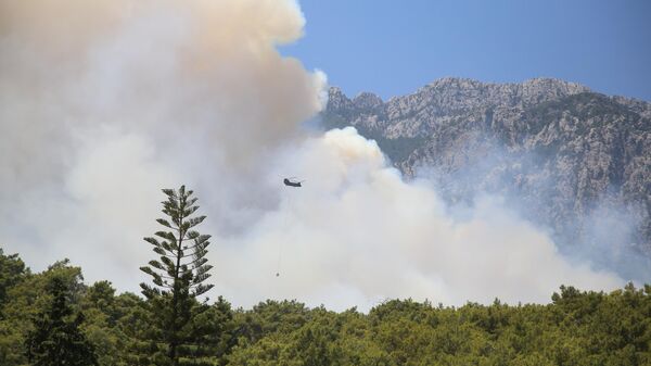 Antalya'nın Kemer ilçesinde yerleşim yerlerine yakın ormanlık alandaki yangına havadan ve karadan müdahale ediliyor. - Sputnik Türkiye