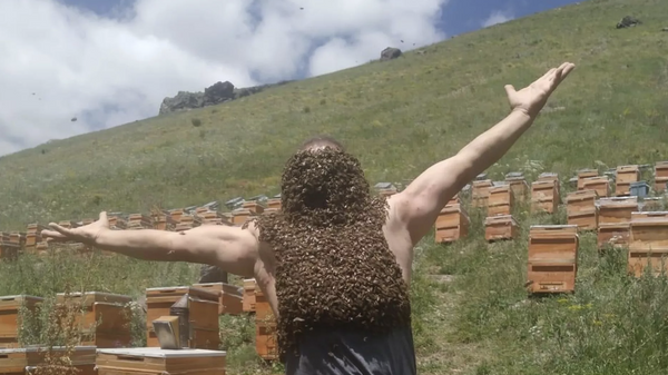 Koruyucu kıyafet olmadan binlerce Kafkas arısını vücuduna aldı - Sputnik Türkiye