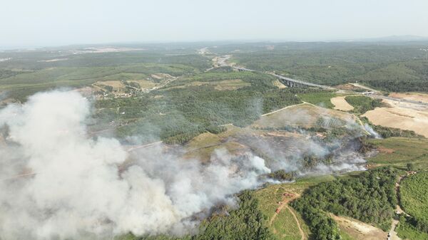 Beykoz Poyrazköy'de ormanlık alanda çıkan yangına itfaiye ekiplerince müdahale ediliyor - Sputnik Türkiye