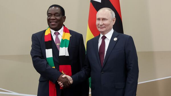 Rusya Devlet Başkanı Vladimir Putin ve  Zimbabwe lideri Emmerson Mnangagwa - Sputnik Türkiye