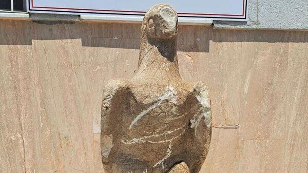 Yozgat'ta Roma Dönemi'ne ait tarihi eser niteliği taşıdığı değerlendirilen 150 santimetre boyunda kartal figürü ele geçirildi. - Sputnik Türkiye