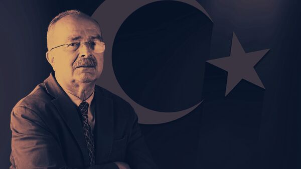 Prof. Dr. Doğan Perinçek: Artçı depremler en az 3 yıl devam edecek - Sputnik Türkiye