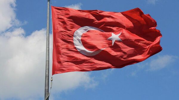 Türk bayrağı - Sputnik Türkiye