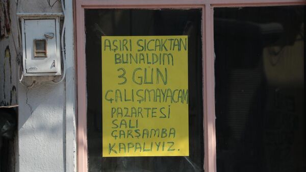 Adana'da aşırı sıcaklar dükkan kapattırdı
 - Sputnik Türkiye