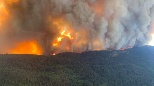 Kanada'nın British Columbia eyaletinde orman yangınlarını nedeniyle acil durum ilan edildi - Sputnik Türkiye