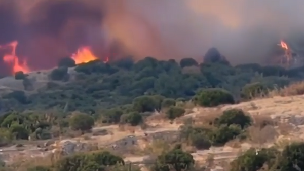 Yunanistan’ın Evros bölgesinde son 20 yılın en büyük orman yangını yaşanıyor. - Sputnik Türkiye