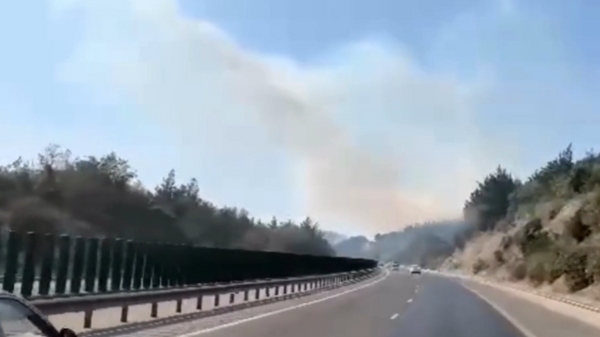  Rusya'nın Gelencik kentindeki yangın 118 hektarlık alana yayıldı - Sputnik Türkiye