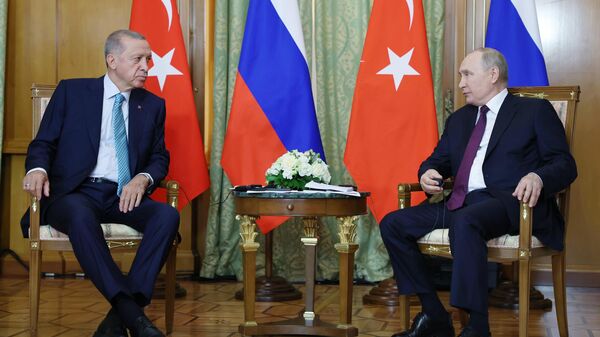 Erdoğan-Putin görüşmesi - Sputnik Türkiye