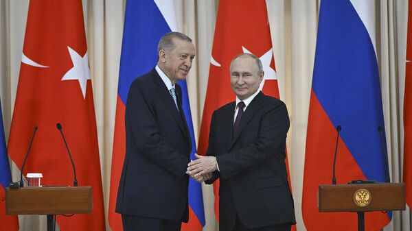 Cumhurbaşkanı Recep Tayyip Erdoğan ve Rusya Devlet Başkanı Vladimir Putin - Sputnik Türkiye