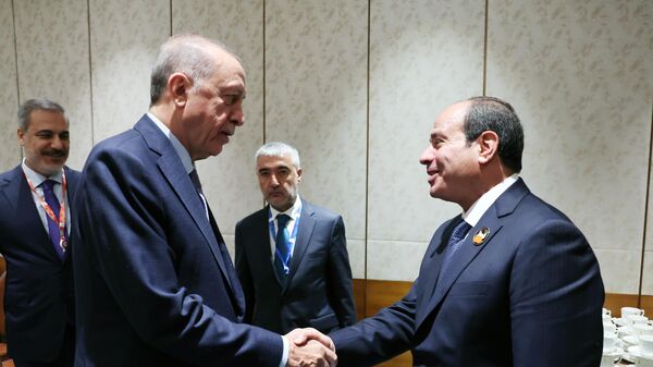 Cumhurbaşkanı Erdoğan, Mısır Cumhurbaşkanı Abdulfettah es-Sisi ile görüştü - Sputnik Türkiye