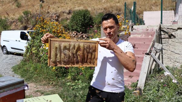 Arılarına 'Allah, Dadaş, Nusret' yazdırdı: Arılarım sınıflarını geçti' - Sputnik Türkiye