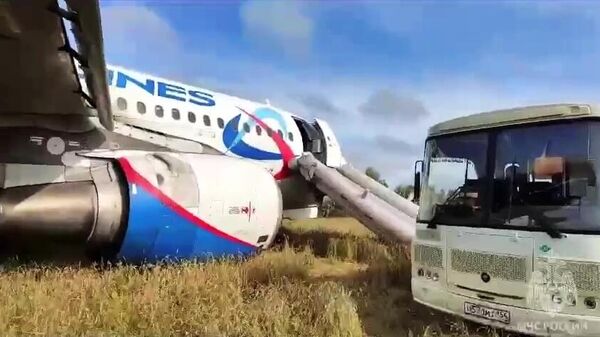 Rusya'nın Soçi kentinden kalkan Ural Havayolları'na ait uçak, Novosibirsk bölgesindeki bir tarlaya acil iniş yaptı.  - Sputnik Türkiye