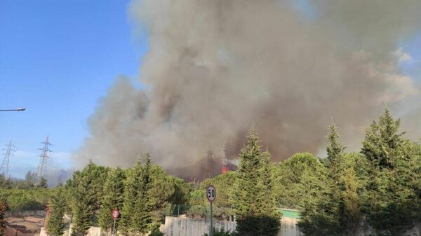  Bursa'nın Kestel ilçesinde ormanlık alanda yangın çıktı. - Sputnik Türkiye