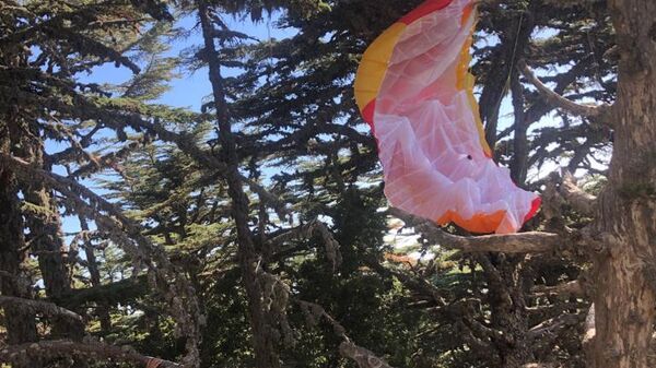 Muğla'nın Fethiye ilçesinde uçuş sırasında yamaç paraşütü ağaca dolanan Rus pilot kurtarıldı - Sputnik Türkiye