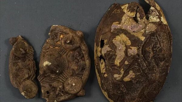 Kayıp küpe arayan aile bin yıllık Viking kalıntısı buldu - Sputnik Türkiye