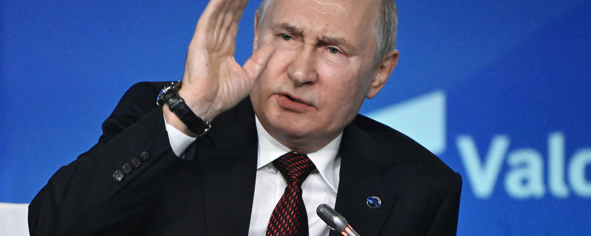 Rusya Devlet Başkanı Vladimir Putin - Sputnik Türkiye, 1920, 05.10.2023