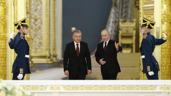 Vladimir Putin ile Şevket Mirziyoyev görüşmesi - Sputnik Türkiye