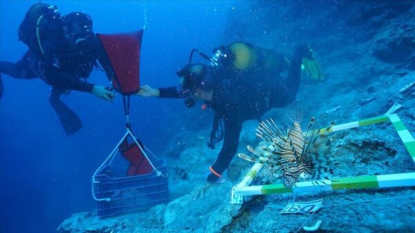 Antalya kıyısında 3 bin 600 yıl önce battığı belirlenen gemide yürütülen su altı kazılarında Orta Tunç Çağı'na tarihlenen bakır külçeler, gemicilerin şahsi eşyaları ile amforaya ulaşıldı. - Sputnik Türkiye