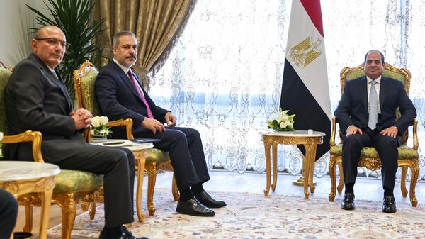 Dışişleri Bakanı Hakan Fidan ve Mısır Cumhurbaşkanı Abdulfettah es-Sisi  - Sputnik Türkiye