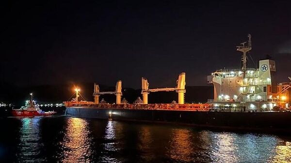 İstanbul Boğazı'ndaki trafik arızalanan gemi nedeniyle askıya alındı - Sputnik Türkiye