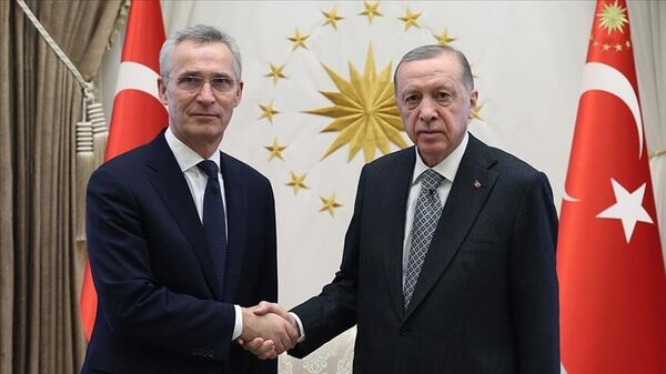 Cumhurbaşkanı Erdoğan, NATO Genel Sekreteri Stoltenberg ile görüştü
 - Sputnik Türkiye