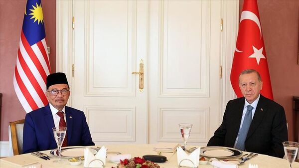 Cumhurbaşkanı Erdoğan, Malezya Başbakanı Enver İbrahim - Sputnik Türkiye