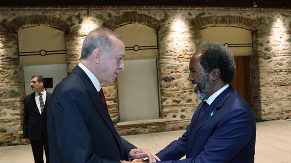 Cumhurbaşkanı Erdoğan, Somali Cumhurbaşkanı Mahmud ile görüştü - Sputnik Türkiye