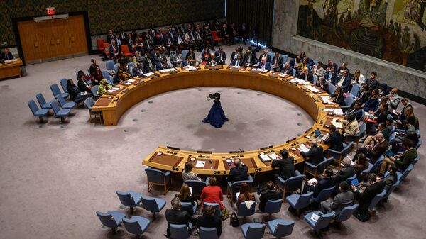 Birleşmiş Milletler Güvenlik Konseyi (BMGK)  - Sputnik Türkiye