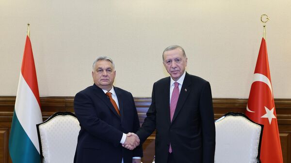 Cumhurbaşkanı Erdoğan, Macaristan Başbakanı Orban'ı kabul etti - Sputnik Türkiye